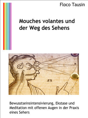 cover image of Mouches volantes und der Weg des Sehens